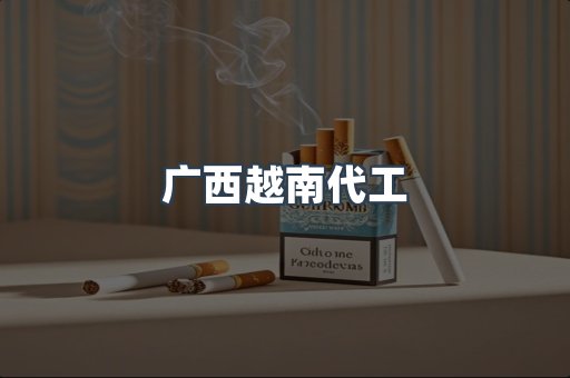 广西越南代工